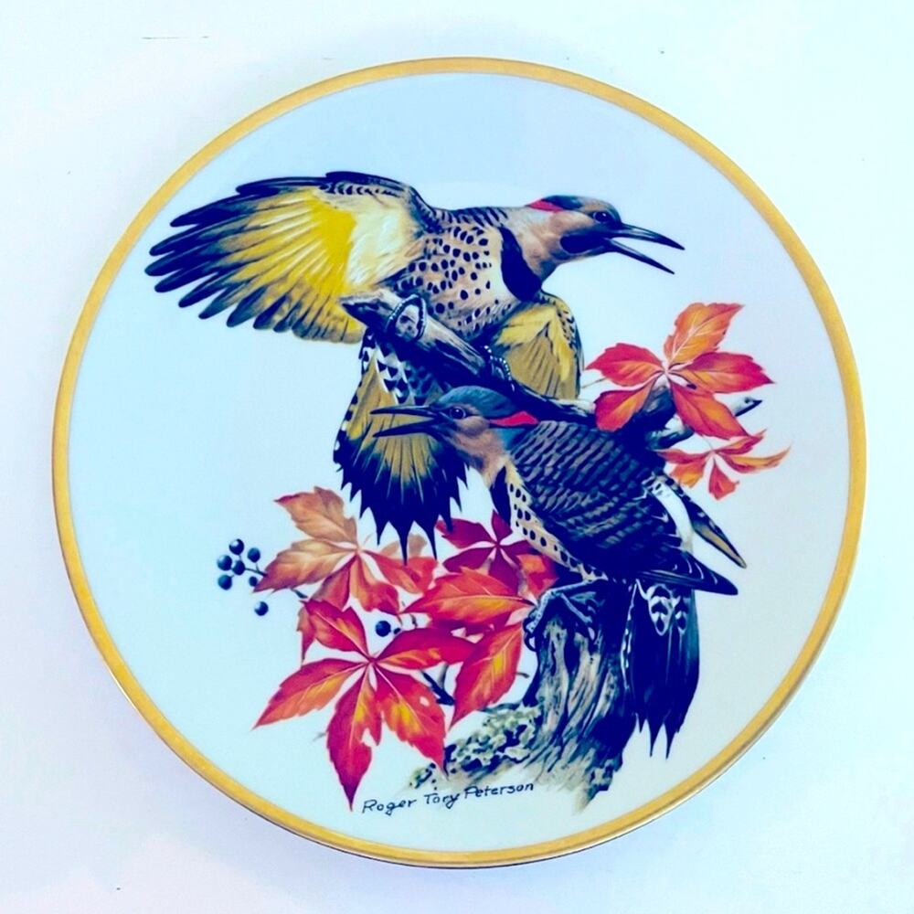 80s Vtg Georges Boyer Limoges Plate FLICKERS Songbirds 9 3/4 Roger Tory Peterson